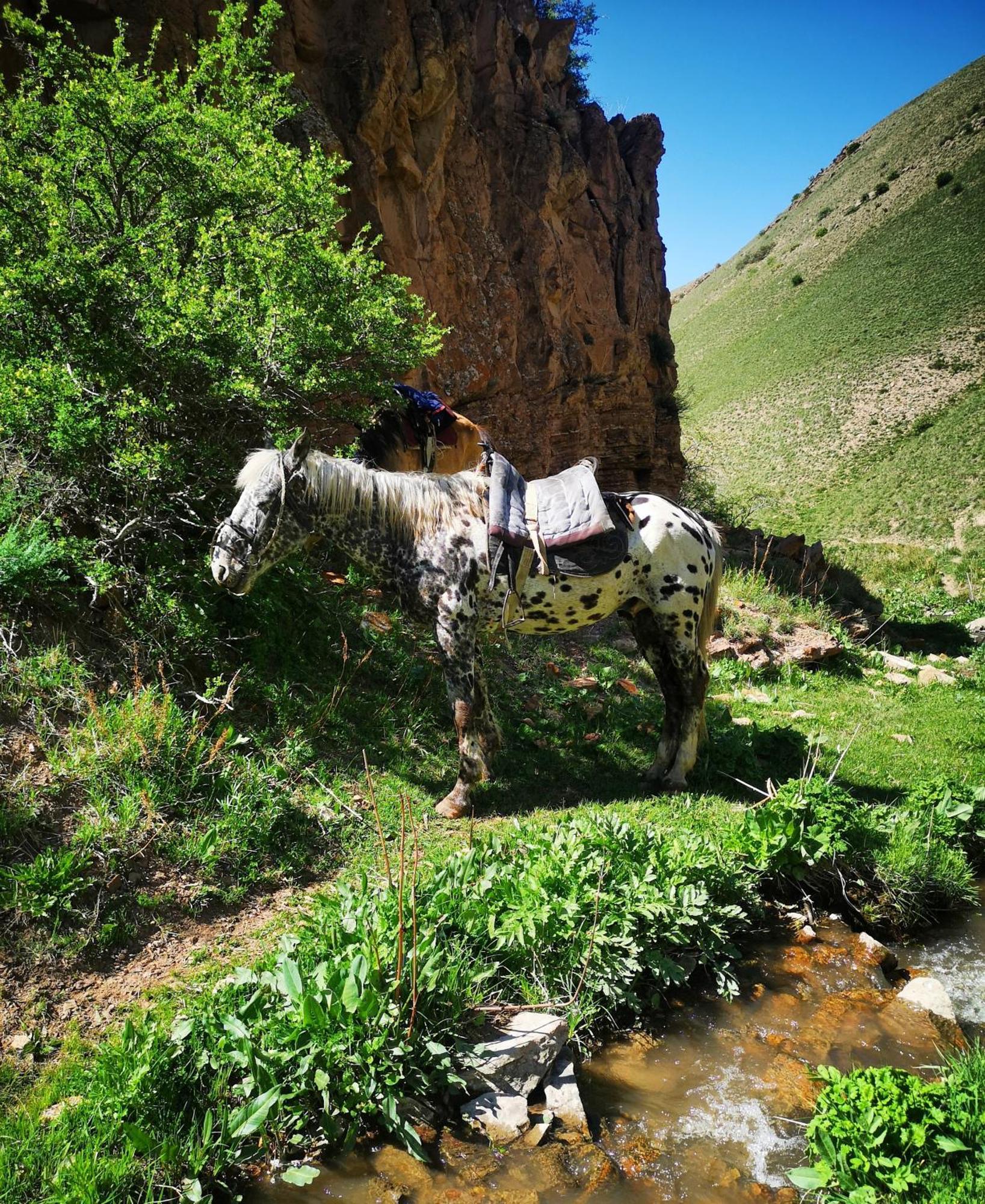 Guest House Bereke In Kyzart Village Bagysh Extérieur photo
